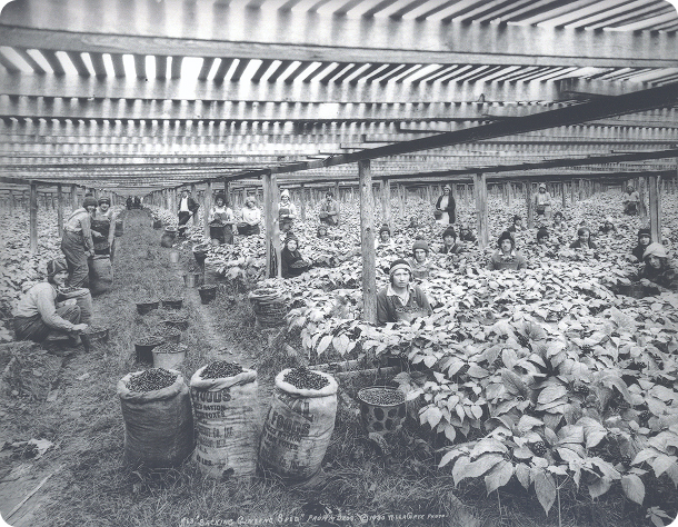 image 1 alt