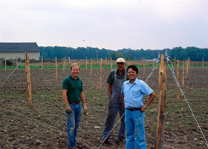 Paul and Ron Sandquist harvest their first ginseng crop