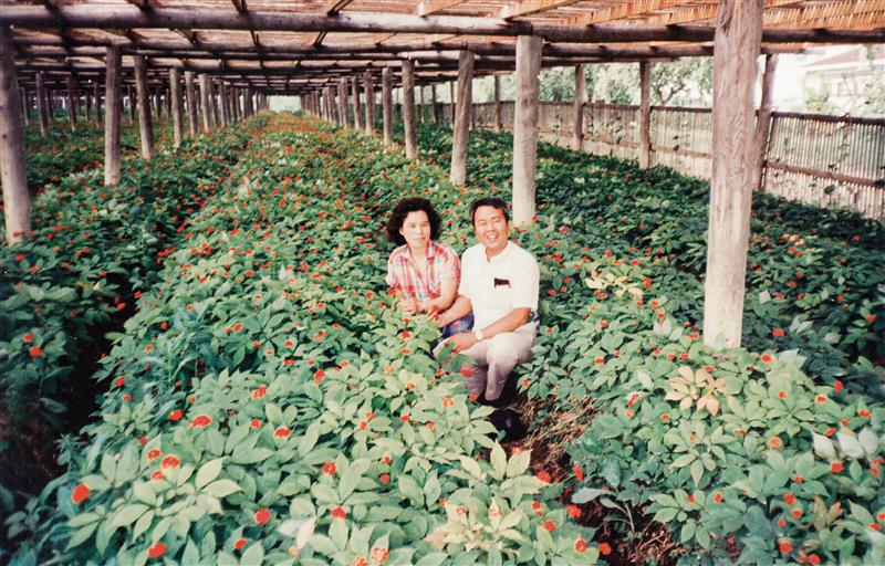 Our First Farm purchased in 1978