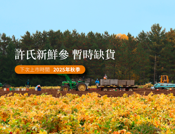 Big5-FreshGinseng